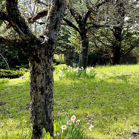 Mazzetti Country House-vita In Campagna Con Giardino *