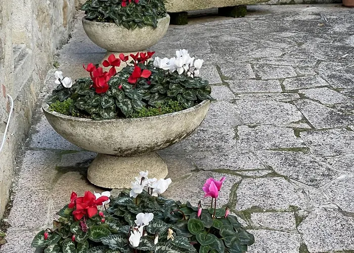 Mazzetti Country House-vita In Campagna Con Giardino Villa