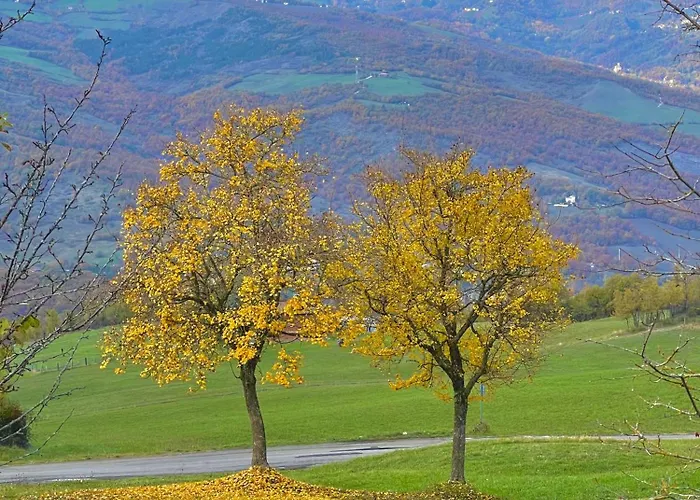 Mazzetti Country House-vita In Campagna Con Giardino