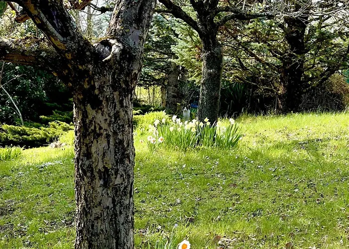 Mazzetti Country House-vita In Campagna Con Giardino *