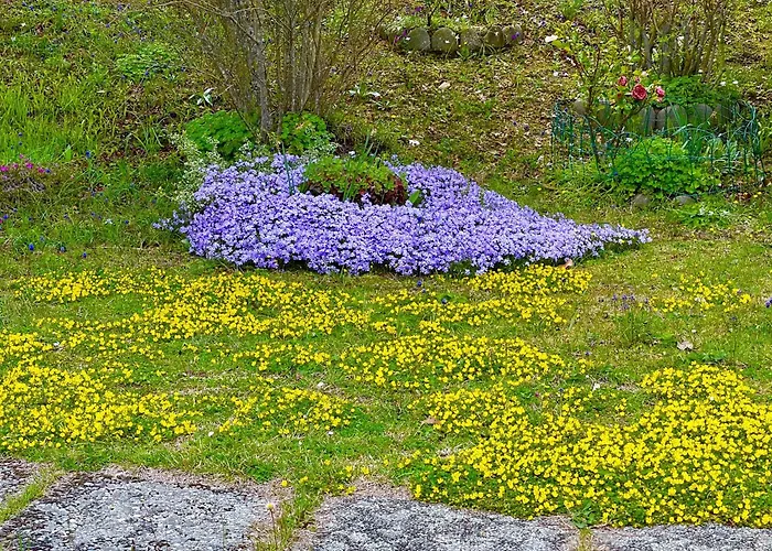 Mazzetti Country House-vita In Campagna Con Giardino Vimignano-Chiesa