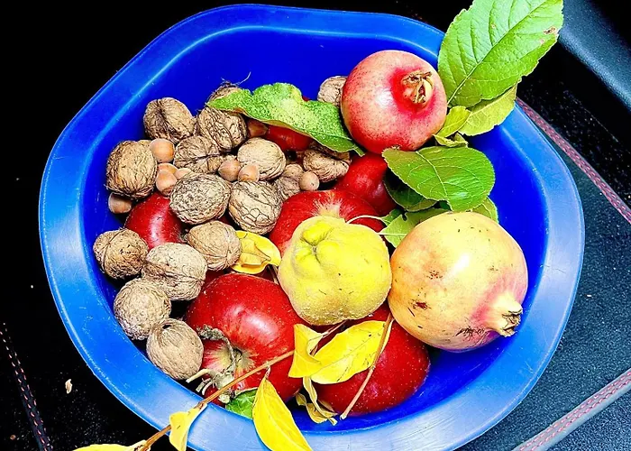 Villa Mazzetti Country House-vita In Campagna Con Giardino