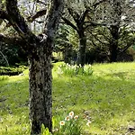 Mazzetti Country House-vita In Campagna Con Giardino *