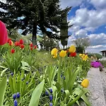 Mazzetti Country House-vita In Campagna Con Giardino Villa Vimignano-Chiesa