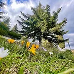 Villa Mazzetti Country House-vita In Campagna Con Giardino *