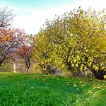 Villa Mazzetti Country House-vita In Campagna Con Giardino *