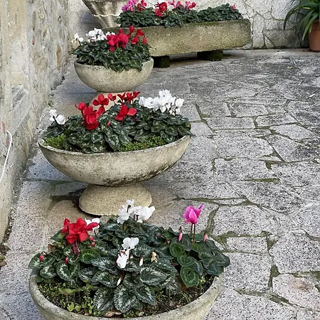 Mazzetti Country House-vita In Campagna Con Giardino Vila