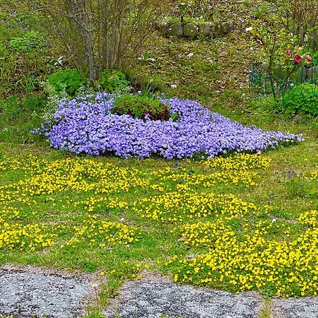 Mazzetti Country House-vita In Campagna Con Giardino Vimignano-Chiesa