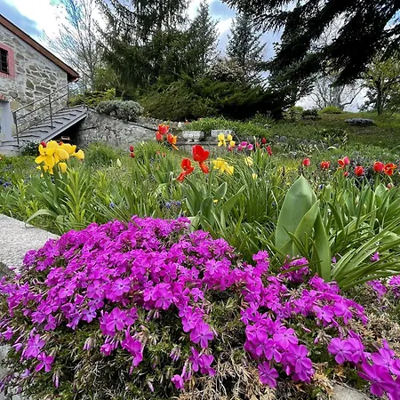 Mazzetti Country House-vita In Campagna Con Giardino Вилла *