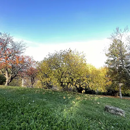 Mazzetti Country House-vita In Campagna Con Giardino *