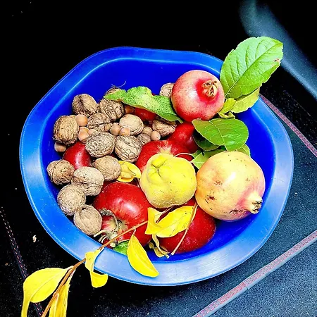 빌라 Mazzetti Country House-vita In Campagna Con Giardino