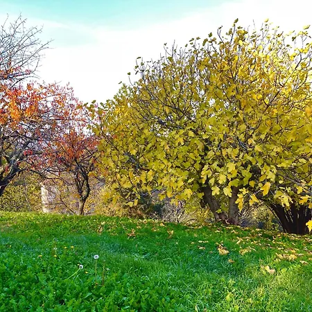 Vila Mazzetti Country House-vita In Campagna Con Giardino *