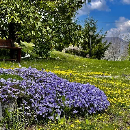 Mazzetti Country House-vita In Campagna Con Giardino * Vimignano-Chiesa