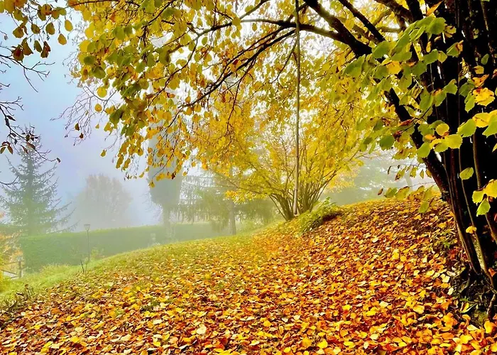 Mazzetti Country House-vita In Campagna Con Giardino Vimignano-Chiesa
