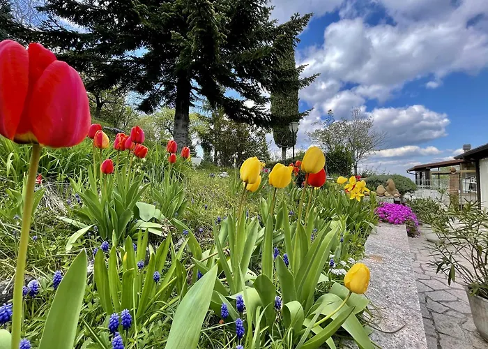 Mazzetti Country House-vita In Campagna Con Giardino Вилла Vimignano-Chiesa