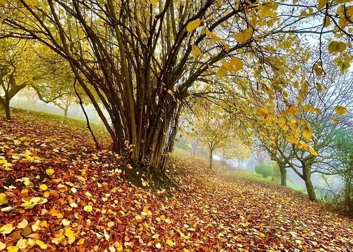 Вилла Mazzetti Country House-vita In Campagna Con Giardino Vimignano-Chiesa