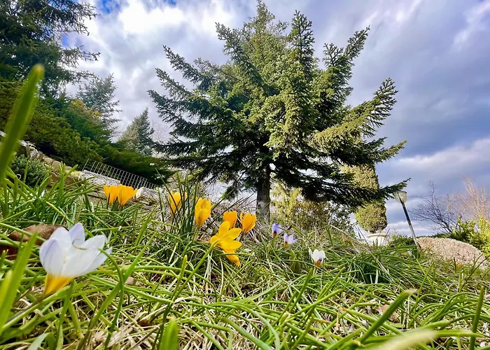 Вилла Mazzetti Country House-vita In Campagna Con Giardino *