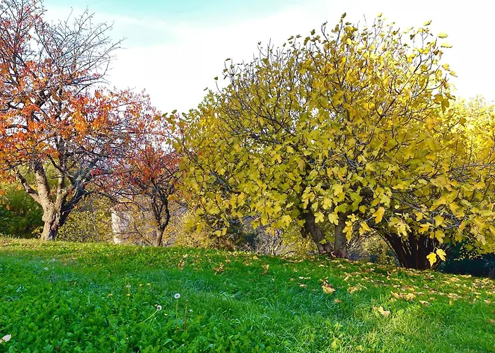 Villa Mazzetti Country House-vita In Campagna Con Giardino *